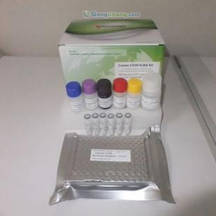 供应人长效甲状腺刺激素(LATS)ELISA试剂盒 助力科研与精细化学品领域的非临床研究