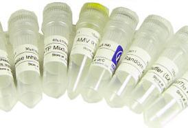 苊化学试剂的特性、应用与安全操作指南